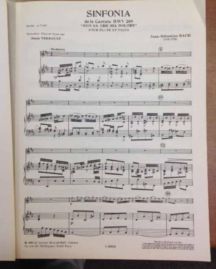 J.S Bach Sinfonia de la Cantate BWV 209 pour flute et piano