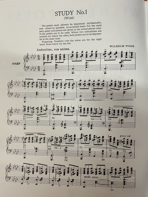 Wilhelm Posse Eight great concert studies for harp-3000 partitions, livres et vinyles d'occasion en vente sur notre site internet gastonmusicclub.fr Gaston Music Store