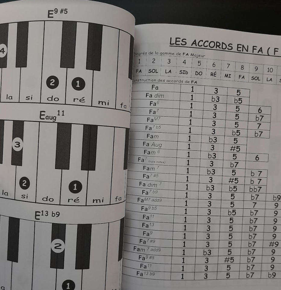 Vladis Cossa Schémas Les 288 principaux Accords avec Doigtés-3000 partitions, livres et vinyles d'occasion en vente sur notre site internet gastonmusicclub.fr Gaston Music Store