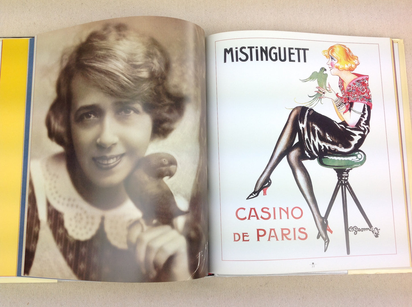 Les années Mistinguett, livre de J. Pessis