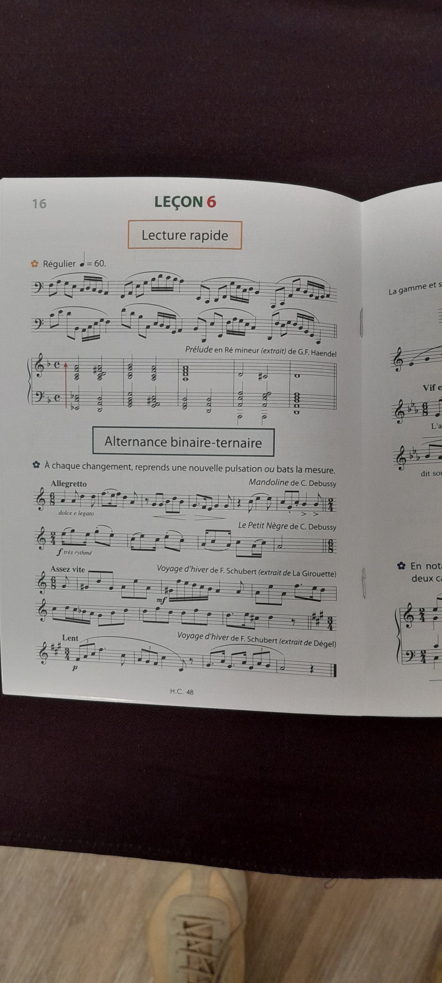 Petit cahier de révision volume 4 Marie-Hélène Siciliano