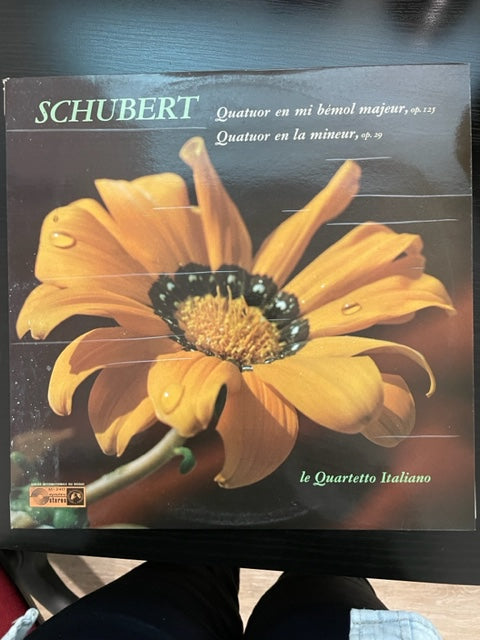 Franz Schubert Quatuors à cordes D 804 et D 87 opus 29 et 125